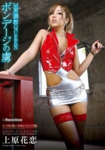 DMBJ-050