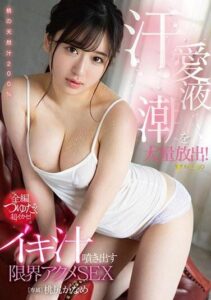 FSDSS-090