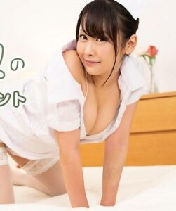 HEYZO-2595