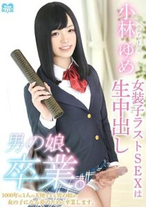 HSM-031