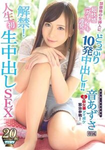 IPX-262