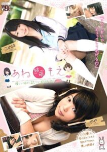 KTDS-390