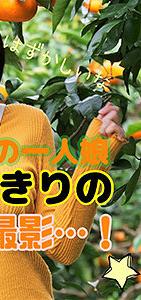 LADY-391