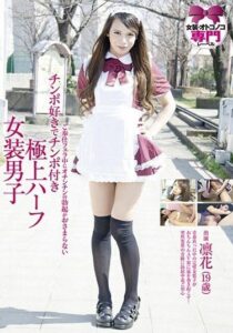 PAV-023