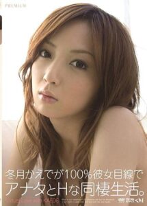 PGD-341
