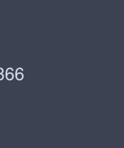 RKI-366
