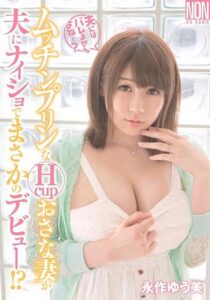 YSN-381