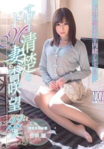 YSN-426