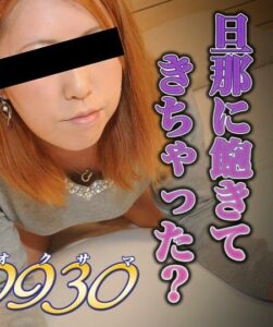 H0930-KI230406