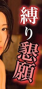 HONTO-004