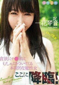 POKA-002
