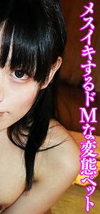 SACZ-238