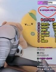 KBJ-23061705