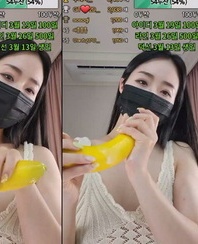 KBJ-23061727