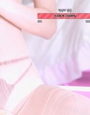 KBJ-23062407