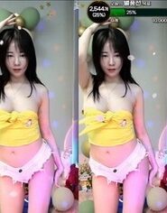 KBJ-23062639
