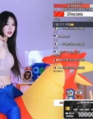 KBJ-23101744